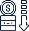 Cost Efficiency