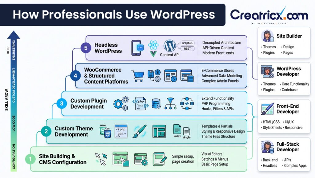 Five levels of professional WordPress use, from CMS configuration to themes, plugins, WooCommerce and headless development